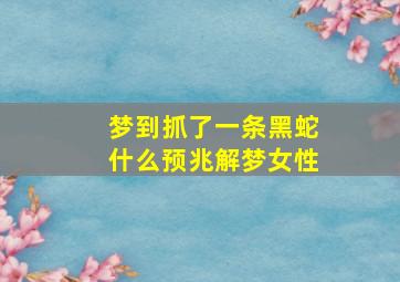 梦到抓了一条黑蛇什么预兆解梦女性