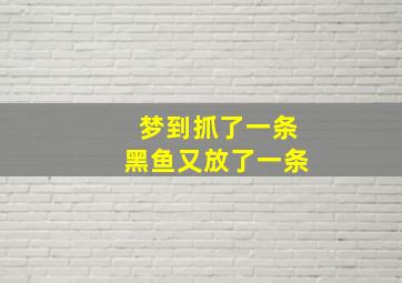 梦到抓了一条黑鱼又放了一条