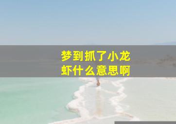 梦到抓了小龙虾什么意思啊