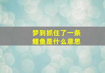 梦到抓住了一条鲤鱼是什么意思