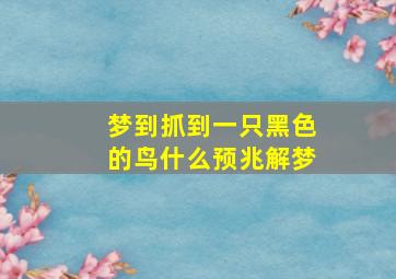 梦到抓到一只黑色的鸟什么预兆解梦