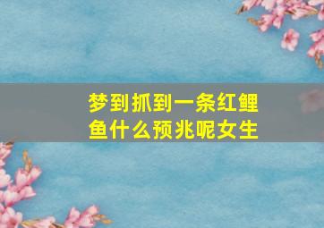 梦到抓到一条红鲤鱼什么预兆呢女生