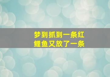 梦到抓到一条红鲤鱼又放了一条