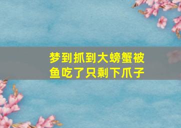 梦到抓到大螃蟹被鱼吃了只剩下爪子