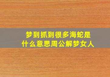 梦到抓到很多海蛇是什么意思周公解梦女人