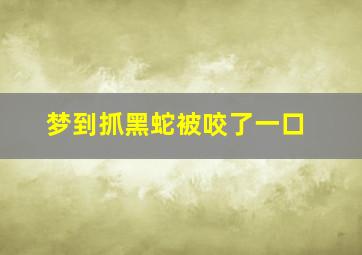 梦到抓黑蛇被咬了一口