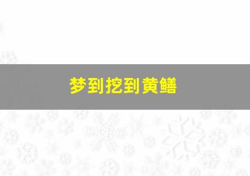 梦到挖到黄鳝