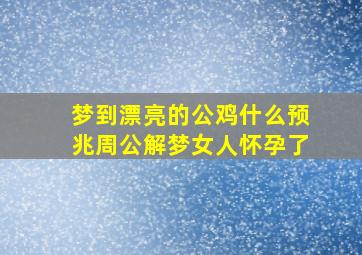 梦到漂亮的公鸡什么预兆周公解梦女人怀孕了