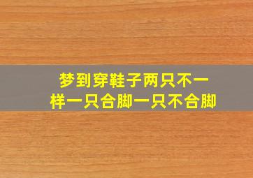 梦到穿鞋子两只不一样一只合脚一只不合脚