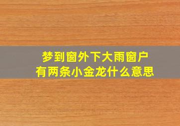 梦到窗外下大雨窗户有两条小金龙什么意思