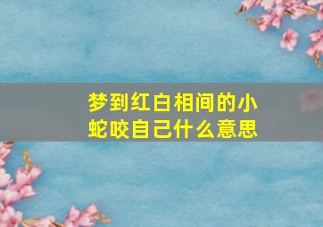 梦到红白相间的小蛇咬自己什么意思