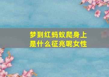 梦到红蚂蚁爬身上是什么征兆呢女性