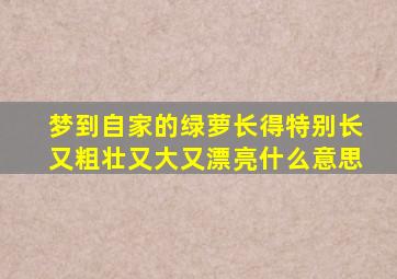 梦到自家的绿萝长得特别长又粗壮又大又漂亮什么意思