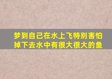 梦到自己在水上飞特别害怕掉下去水中有很大很大的鱼