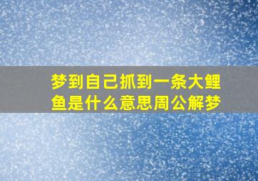 梦到自己抓到一条大鲤鱼是什么意思周公解梦