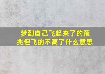 梦到自己飞起来了的预兆但飞的不高了什么意思