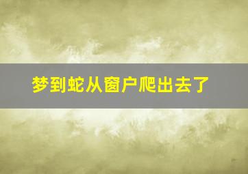 梦到蛇从窗户爬出去了