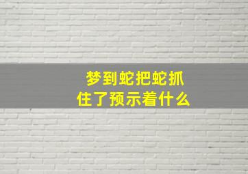 梦到蛇把蛇抓住了预示着什么