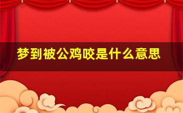 梦到被公鸡咬是什么意思