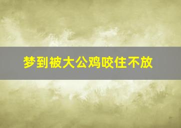 梦到被大公鸡咬住不放