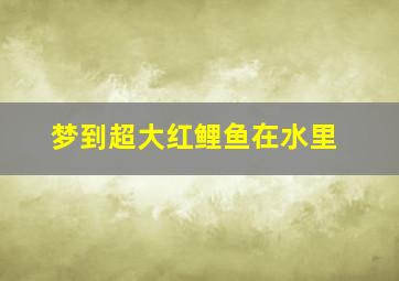 梦到超大红鲤鱼在水里