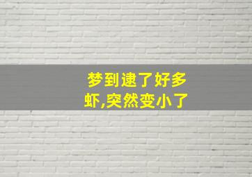 梦到逮了好多虾,突然变小了