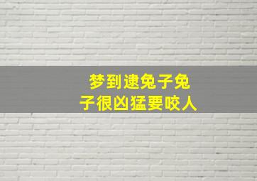 梦到逮兔子兔子很凶猛要咬人