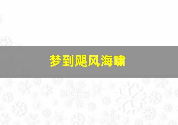 梦到飓风海啸