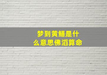 梦到黄鳝是什么意思佛滔算命