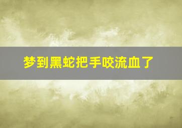 梦到黑蛇把手咬流血了