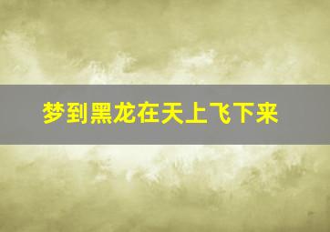 梦到黑龙在天上飞下来