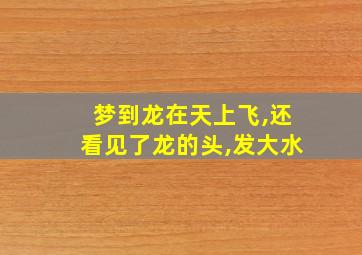 梦到龙在天上飞,还看见了龙的头,发大水