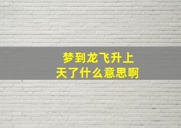 梦到龙飞升上天了什么意思啊