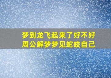 梦到龙飞起来了好不好周公解梦梦见蛇咬自己