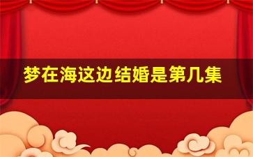 梦在海这边结婚是第几集