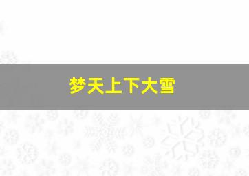 梦天上下大雪