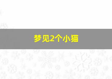 梦见2个小猫