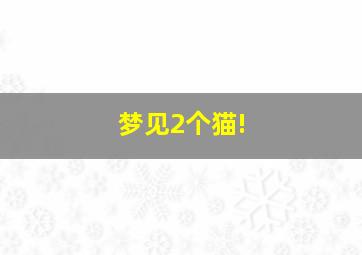 梦见2个猫!