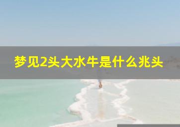 梦见2头大水牛是什么兆头