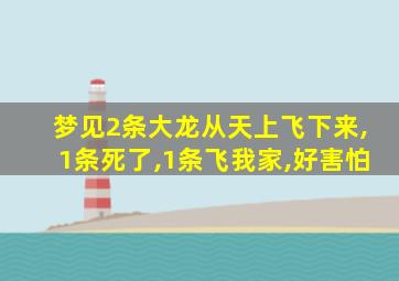 梦见2条大龙从天上飞下来,1条死了,1条飞我家,好害怕