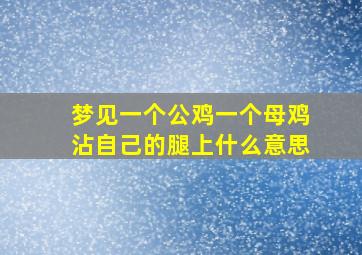 梦见一个公鸡一个母鸡沾自己的腿上什么意思