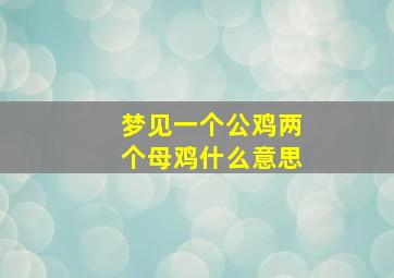 梦见一个公鸡两个母鸡什么意思