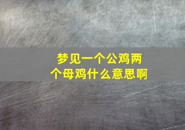 梦见一个公鸡两个母鸡什么意思啊