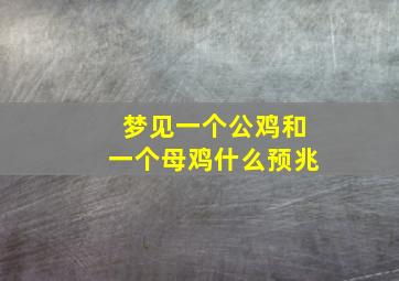 梦见一个公鸡和一个母鸡什么预兆