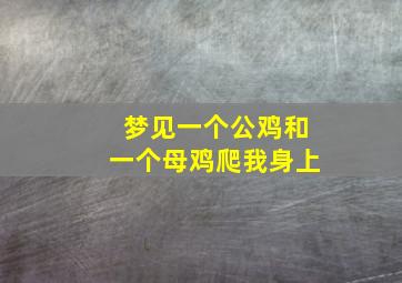 梦见一个公鸡和一个母鸡爬我身上