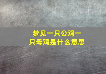 梦见一只公鸡一只母鸡是什么意思