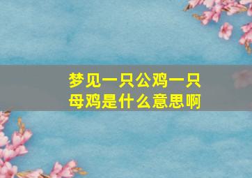 梦见一只公鸡一只母鸡是什么意思啊