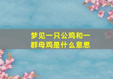 梦见一只公鸡和一群母鸡是什么意思