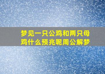 梦见一只公鸡和两只母鸡什么预兆呢周公解梦