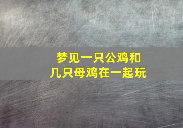 梦见一只公鸡和几只母鸡在一起玩